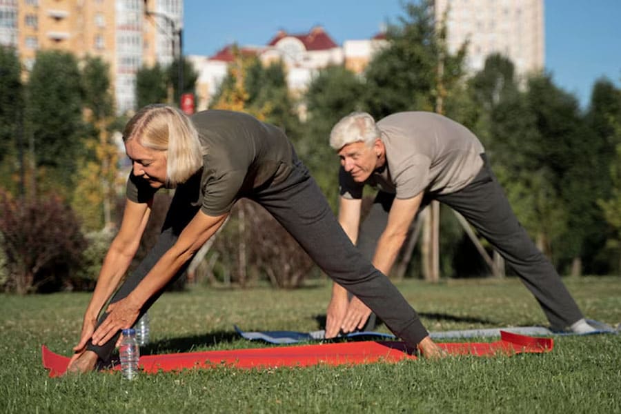 joint gymnastics for the elderly 2